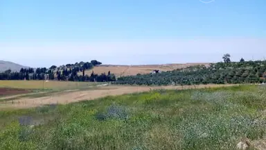 أرض في مادبا - الفيصلية  - 119,000 دأ - صورة NaN